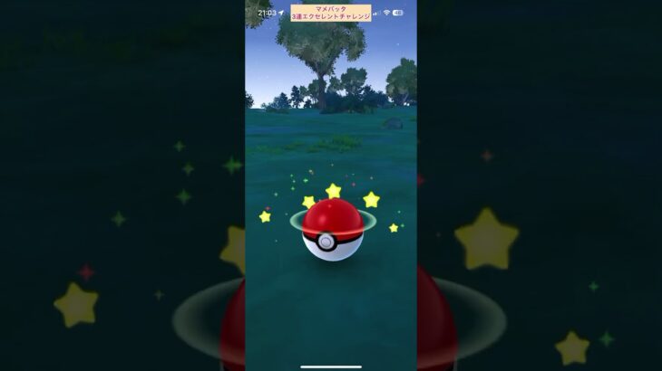 マメバッタ3連エクセレントチャレンジ【ポケモンGO】