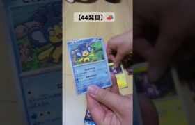 【44発目 ポケカ開封】#ポケモン #ポケカ #ポケモンカード開封 #ポケカ開封 #pokemon #pokemoncardopening #shorts