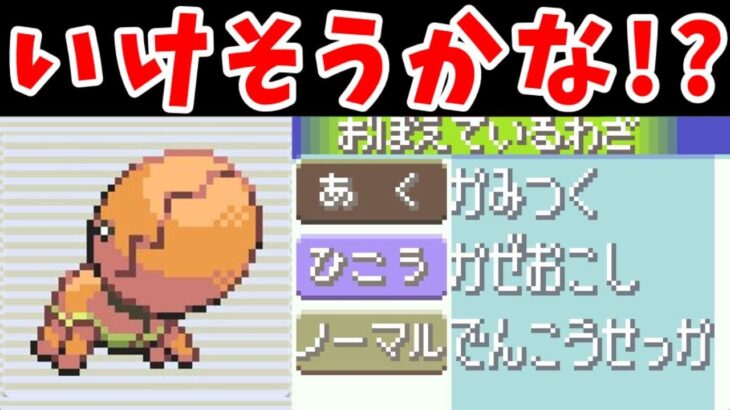 フライゴン一族の旅！『ナックラーのA100』が暴れまわる！？【ゆっくり実況】【ポケモンRS】