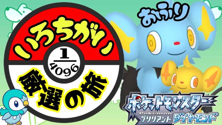 【ポケモン色違い縛り】ポケモンBD色違いの旅….コリンク厳選中….【雑談多め】 #shorts #ポケモン