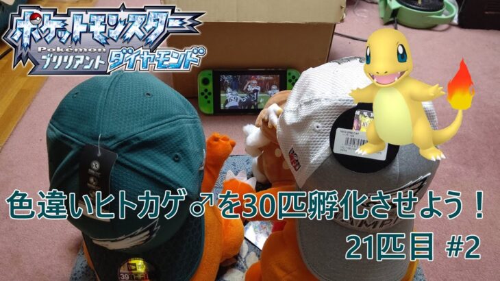 【ポケモンBDSP】色違いヒトカゲ♂を30匹孵化させよう！【色違い】 21匹目 #2