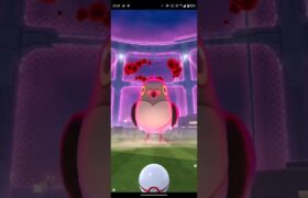 【BGM有版】ポケモンGOに初実装されたダイマックスマメパトをマックスマンデーにてサクッと討伐してその後に捕獲する動画(Pokemon GO)