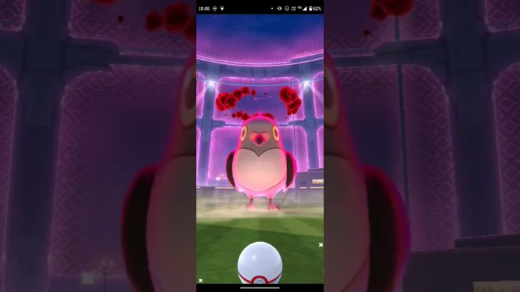 【BGM有版】ポケモンGOに初実装されたダイマックスマメパトをマックスマンデーにてサクッと討伐してその後に捕獲する動画(Pokemon GO)