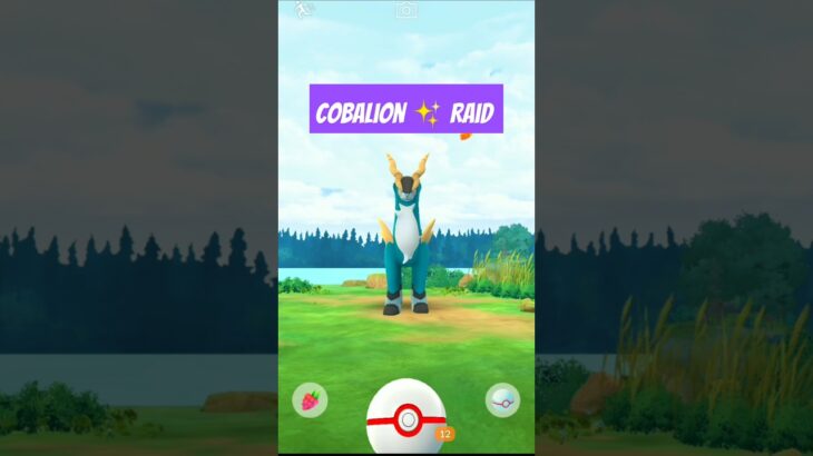 Cobalion Raid Pokemon Go#pokemongo #pokemongoraid #cobalion #pokemongoshorts