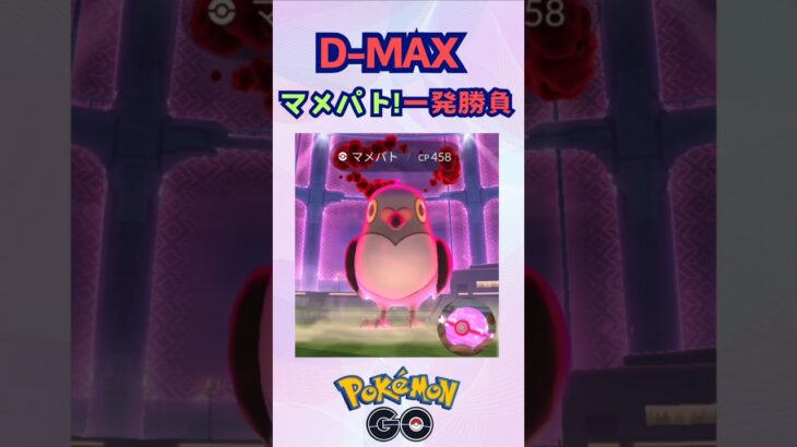 D-MAXマメパト！一発勝負‼【ポケモンGO】