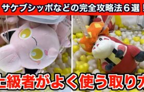 【クレーンゲーム】新作ポケモンのサケブシッポなどを確率無視でGETできる神テク！