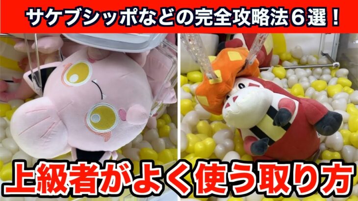 【クレーンゲーム】新作ポケモンのサケブシッポなどを確率無視でGETできる神テク！