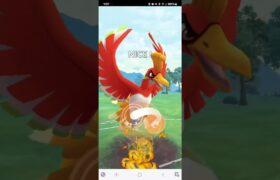 ポケモンGO 通常マスターリーグ グラードン、ホウオウ、ミュウツー