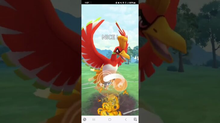 ポケモンGO 通常マスターリーグ グラードン、ホウオウ、ミュウツー