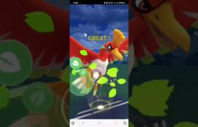 ポケモンGO 通常マスターリーグ ホウオウ、ネクロズマ(たそがれ)、グラードン