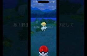 【ポケモンGO】激レア‼︎ ユクシー野生湧き再び！