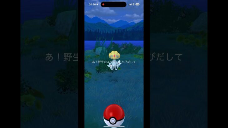 【ポケモンGO】激レア‼︎ ユクシー野生湧き再び！