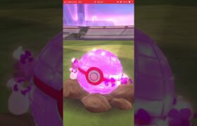 ポケモンGO ダイマックスホシガリス色違い出た！