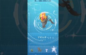 【ポケモンGOとピクミンブルーム】コミュデイやってきた