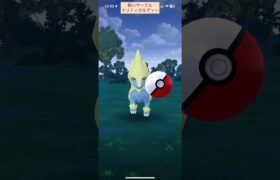 【難易度低】ライボルト極小サークルクリティカルゲット【ポケモンGO】