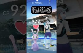 【ポケモンGO】青チームと赤チームで似てる名前の人がいた。はて？？？