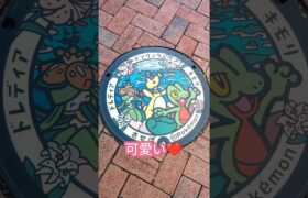 佐世保市のマンホール激カワ！#ポケモン#ポケモンGO#マンホール