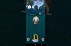 ポケモンGO草むらでゲット！『色違いヤンチャム』