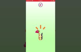 おやつをあげたよ＃ポケモンGO