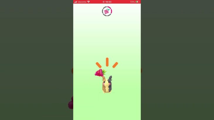 おやつをあげたよ＃ポケモンGO