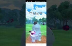 絶対勝てたのにィ#ポケモンGO#スーパーリーグ#カラマネロ#ヌオー#ドオー