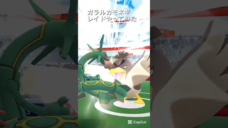 【ポケモンGO】ガラルカモネギレイドやってみた