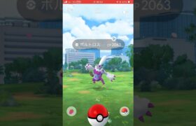 運営からまさかの補填⁉️【ポケモンGO】