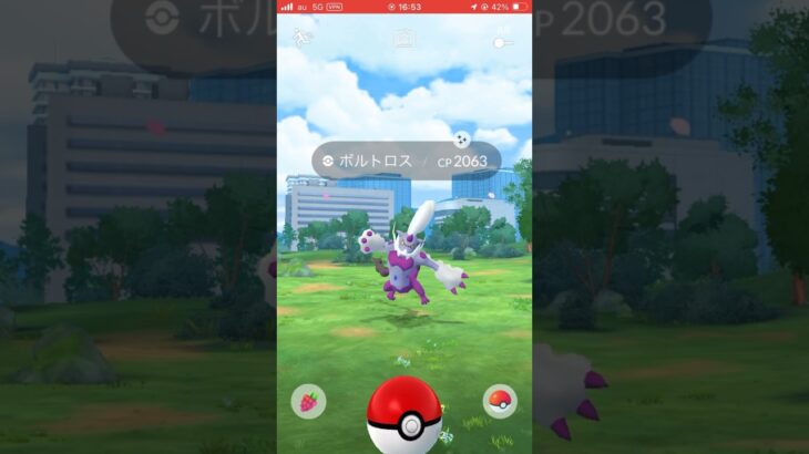 運営からまさかの補填⁉️【ポケモンGO】