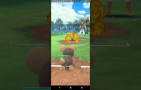 リトルジャングルカップ【ポケモンGO】モンメン、シシコ、コアルヒー