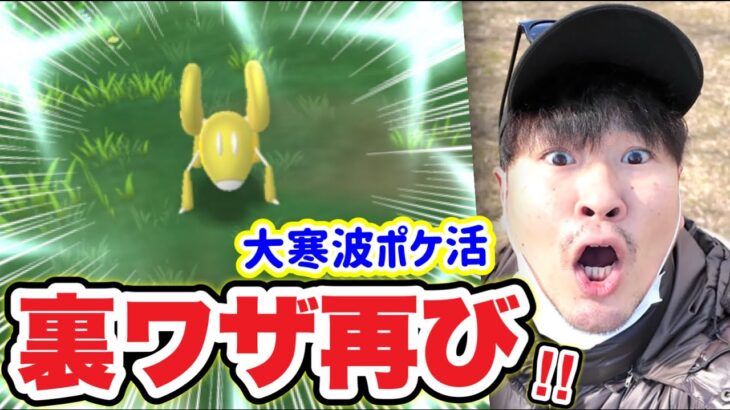 裏ワザ回数上限解放！大寒波ミニマイティ速報ポケ活が地獄だった【ポケモンGO】