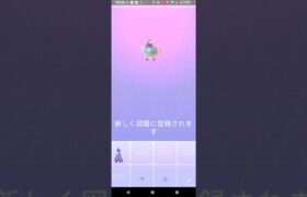 【ポケモンGO】ヤバチャ→ポットデス進化させるだけ。