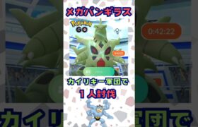 メガバンギラス！カイリキー軍団で１人討伐‼【ポケモンGO】