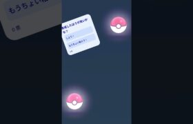 特別な交換で色違いキラを狙え…！＃ポケモンGO＃キラ交換＃色違いキラ