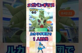 メガバンギラス！ルカリオ軍団で１人討伐‼【ポケモンGO】