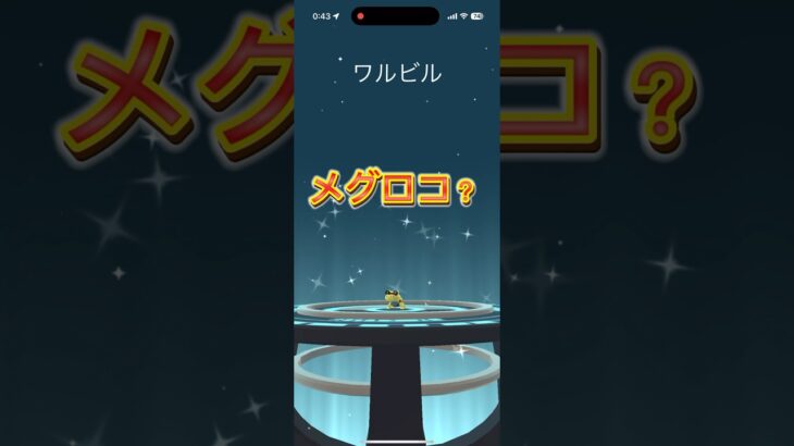 【ポケモンGO】またまたエラー？それともバグなのか？メグロコ進化させた結果、、 #ポケモン #ポケットモンスター #ポケモンGO