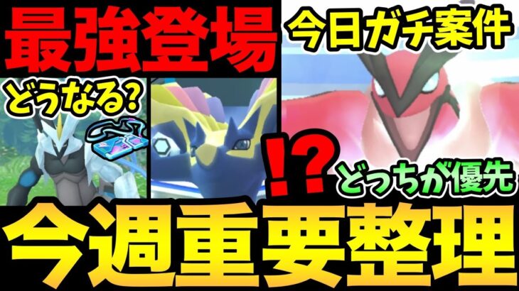 今日から激熱レイド開始！ついに最強も登場！ただ…気になるポイントも…どうなる？イベルタルとゼルネアスガチるぞ！【 ポケモンGO 】【 GOバトルリーグ 】【 GBL 】【 マスターリーグ 】