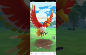 ポケモンGO 通常マスターリーグ グラードン、ホウオウ、Lカイリュー