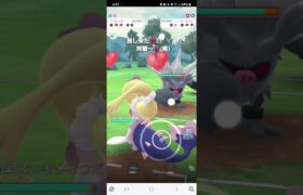 ポケモンGO 通常ハイパーリーグ ガラルヒヒダルマ、Sカイリュー、アシレーヌ