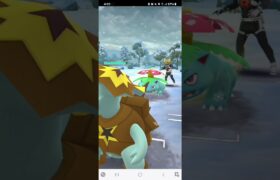 ポケモンGO 通常スーパーリーグ バクガメス、プクリン、Sガラガラ