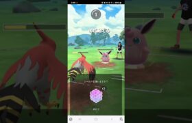 ポケモンGO ラブラブカップSL ズルズキン、ファイアロー、ルガルガン(真夜中)