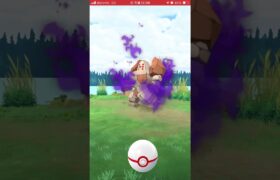 【ポケモンGO】シャドウレジロック捕獲方法★ソロでシャドウレイドして捕まえられます★ #ポケモンgo #捕獲方法  #レジロック