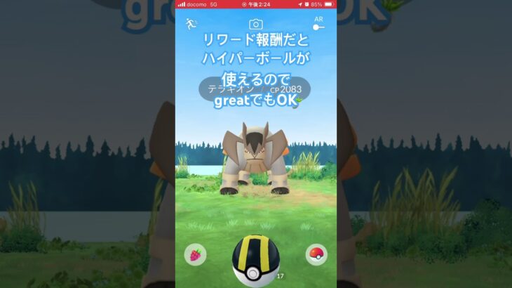 【ポケモンGO】伝説の格闘ポケモンテラキオンを銀パイルで捕まえよう★ #ポケモンgo #伝説ポケモン #テラキオン #捕獲方法