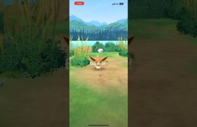 【ポケモンGO】エクセレント動画　イーブイ #ポケモンgo #ポケモン