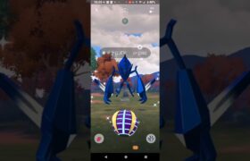 【ポケモンGO】2024。色違いネクロズマGETチャレンジ。