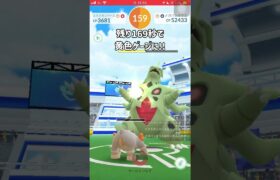 【ポケモンGO】男は黙ってメガバンギラス１人討伐！2025年冬Ver. #shorts #ポケモンgo #ポケモン #ソロ討伐