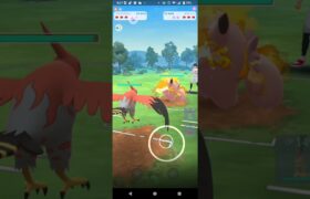 ポケモンGOラブラブカップ対戦ズルズキン＆オクタン＆ファイアロー全5戦④