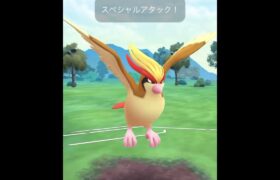 【ポケモンGOバトル#597】これで勝利記録伸ばしました✨さあ今すぐ上の🐸マークをタップして👍&チャンネル登録しよう！！ココチAチャンネルオリジナルポケモンGOバトル動画がいつでもどこでも見放題だ