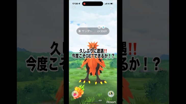 [ポケモンGO]ガラルサンダー降臨！今度こそGETなるか⁉️#ポケモンgo #shorts #ガラルサンダー