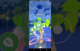 ハイパーリーグ【ポケモンGO】ラウドボーン、クレセリア、Sカイリュー