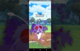 リトルジャングルカップ【ポケモンGO】パッチール、フワンテ、Sコンパン